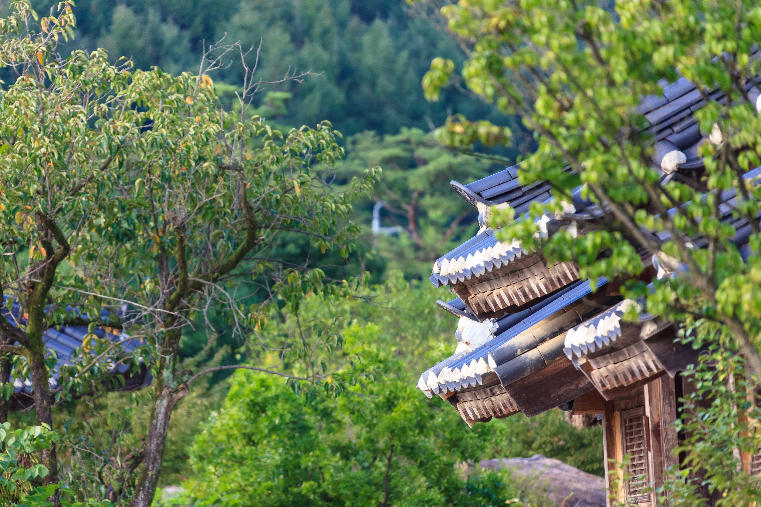Andong Hahoe Folk Village A Step Back In Time Andong Hahoe Folk Village A Step Back In Time