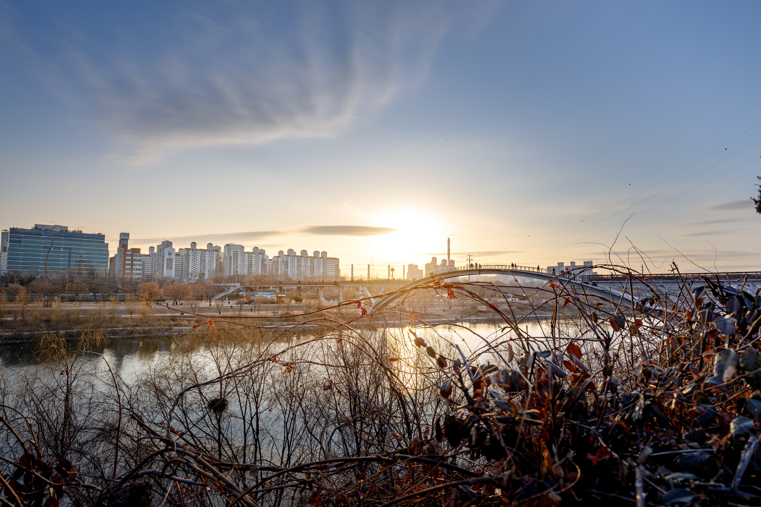 Han River Parks