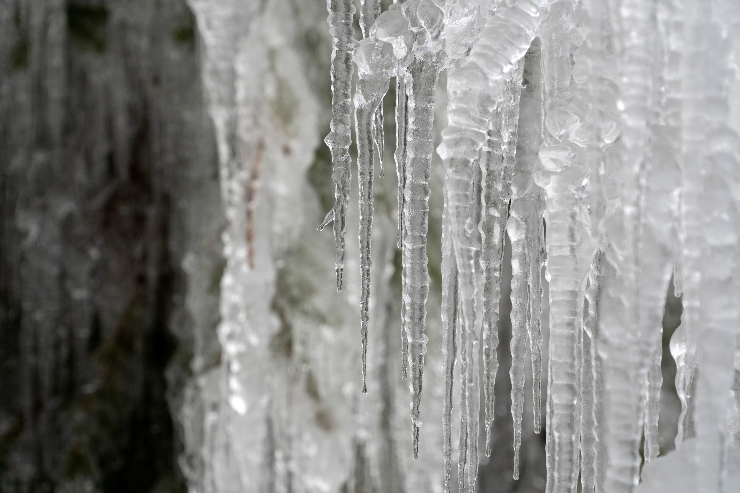 Hwacheon Sancheoneo Ice Festival