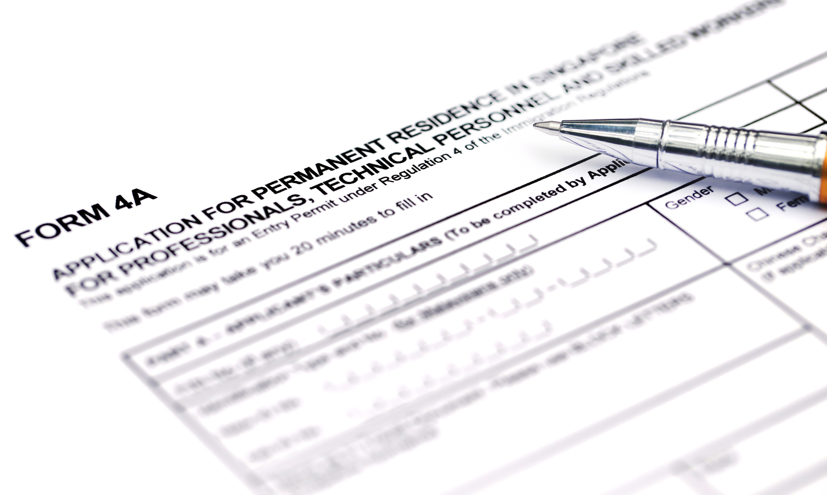 Visa Application Form Details With A Ballpoint