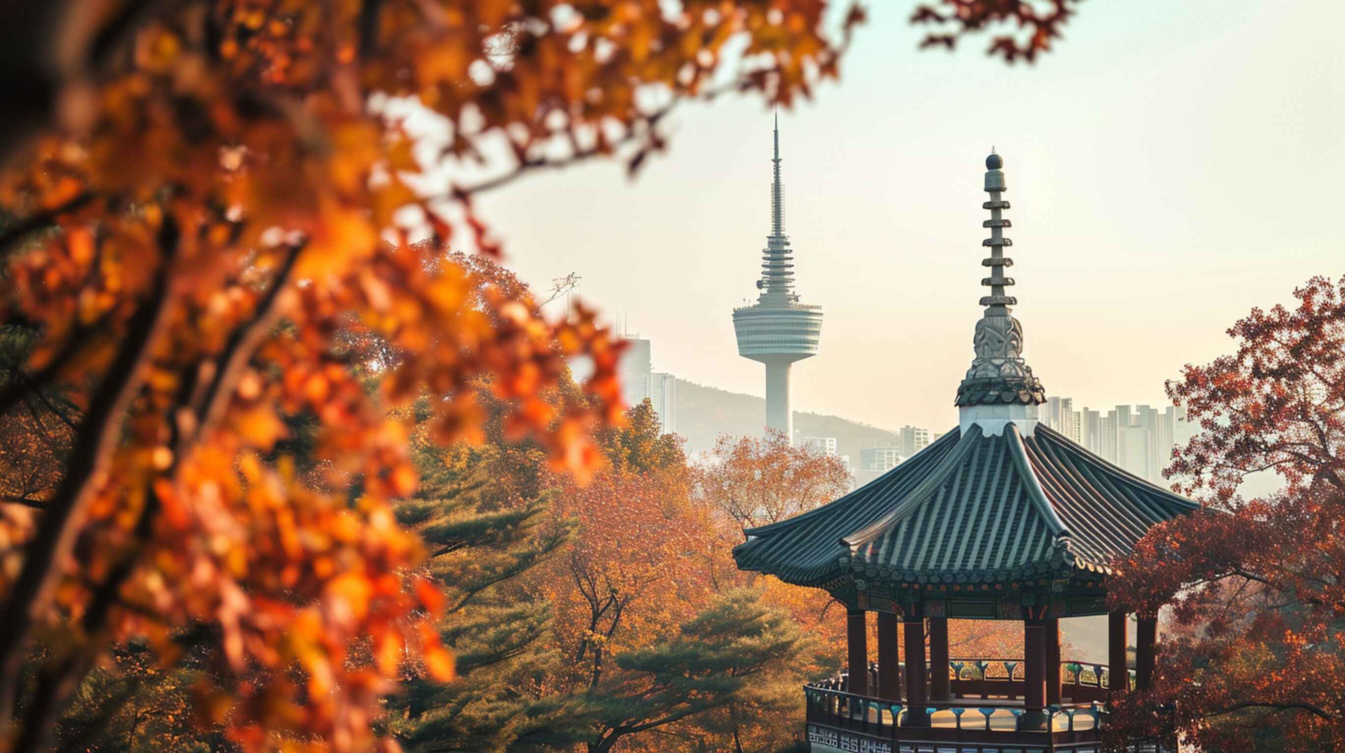 South Korean Visa Requirements For Canadians South Korean Visa Requirements For Canadians